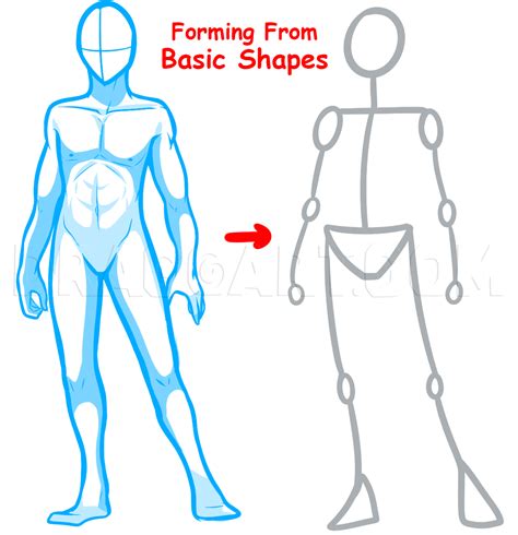 How To Draw Anime Bodies, Draw Anime Body Figures, Step by Step ...