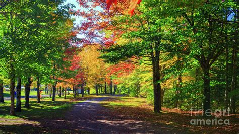 Nova Scotia Fall Foliage Photograph by Verena Matthew