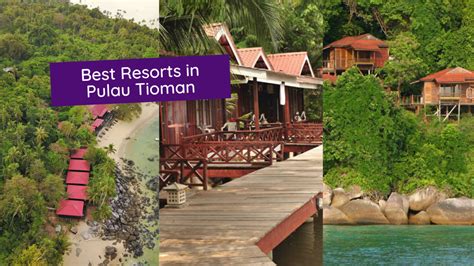 10 Best Resorts In Pulau Tioman For A Memorable Stay | The Kind Helper