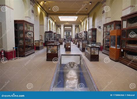 Ancient Mummies in Museum of Egyptian Antiquities in Cairo Editorial ...