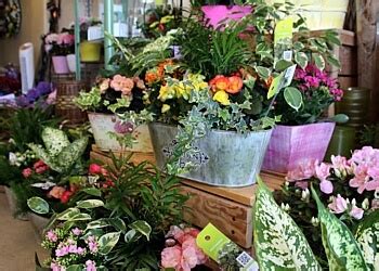 3 Best Florists in Winnipeg, MB - Expert Recommendations