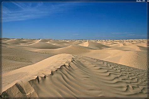 Sahara Douz, Tunisia | Tunisie, Désert