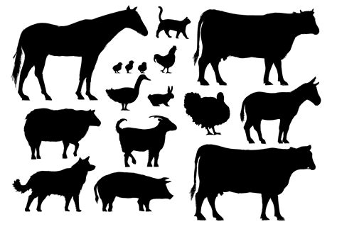 Illustration drawing style of farm animals collection - Download Free Vectors, Clipart Graphics ...