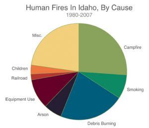Common causes of wildfires - Idaho Firewise