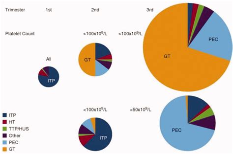 Prevalence of causes of thrombocytopenia based on trimester of... | Download Scientific Diagram