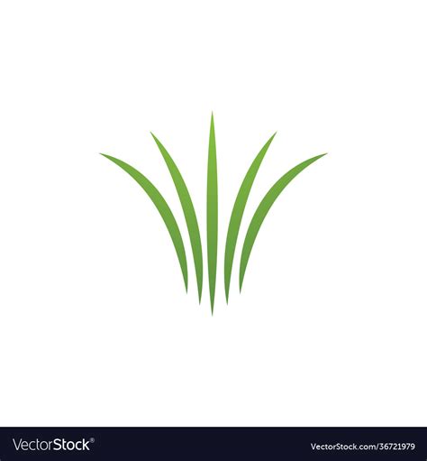 Grass logo Royalty Free Vector Image - VectorStock