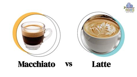 Macchiato vs. Latte: 2 Differences & Which Has More Calories