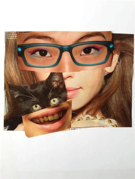 Hilarious Magazine Face Collages • Craftwhack