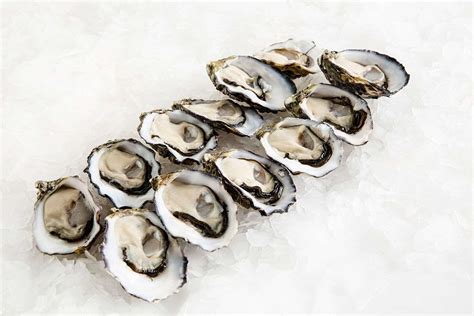 Pacific Oysters Large Delivery | Manettas Seafood