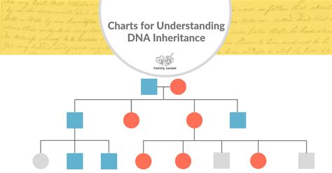 Charts for Understanding DNA Inheritance – Family Locket