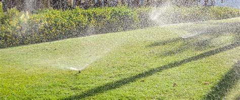 What Is the Perfect Watering Schedule for My Newly Overseeded Lawn? | Lehigh Valley Lawn