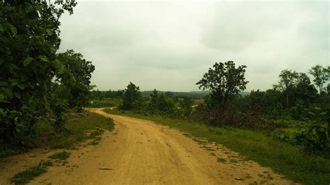 Kawal Wildlife Sanctuary Adilabad Telangana - Tripoto