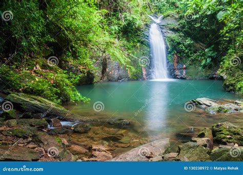 Tiger Fern Waterfall in Cockscomb Basin Wildlife Sanctuary, Beliz Stock Photo - Image of beauty ...