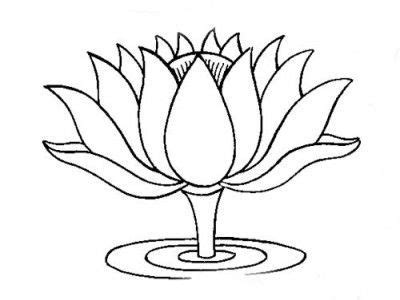 Image result for lotus outline | Flower coloring pages, Flower drawing, Lotus flower drawing