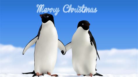 🔥 [40+] Christmas Penguin Wallpapers | WallpaperSafari