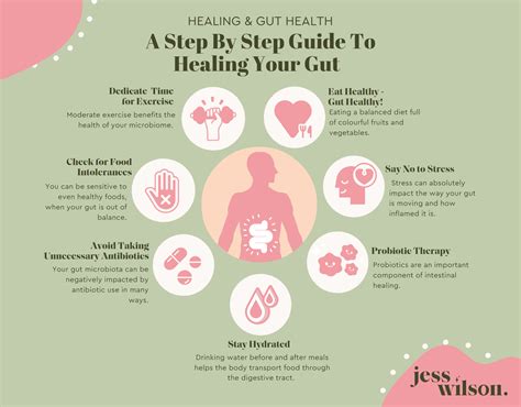 Healing and Gut Health: A Step By Step Guide To Healing Your Gut - Jess ...