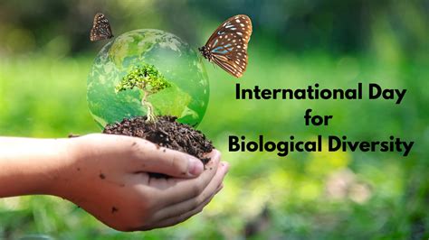 World Biodiversity Day| International Day for Biological Diversity 2022: Date, theme, quotes and ...