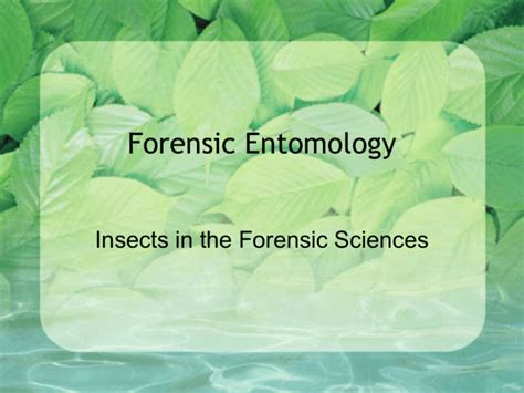 Forensic Entomology