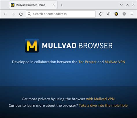 Mullvad Browser: A Privacy-Focused Browser - gHacks Tech News