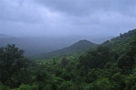 Rainforest Western Ghats Mollem - Free photo on Pixabay - Pixabay