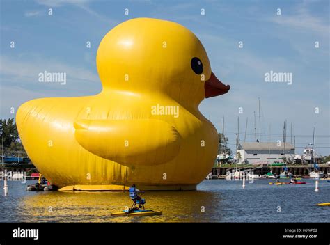 Giant inflatable rubber duck on the water, Buffalo New York waterfront ...