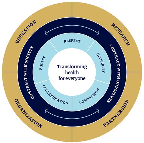 Pillar Overview | UBC Medicine Strategic Plan 2021