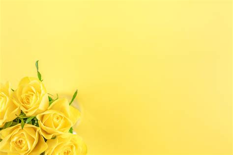 490,751 BEST Yellow Roses IMAGES, STOCK PHOTOS & VECTORS | Adobe Stock