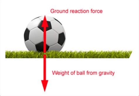 Contact and Non Contact Forces | What is Force? - Types of Forces