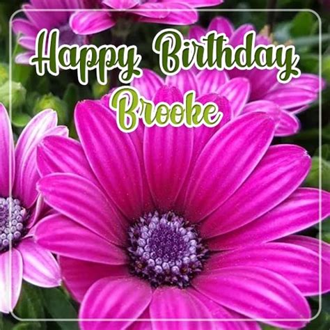 Happy Birthday Brooke – iwn.su