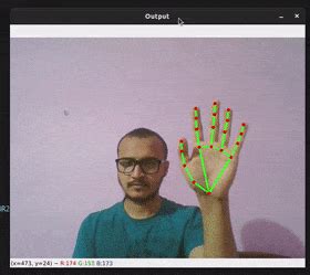 Real-time Hand Gesture Recognition using TensorFlow & OpenCV - TechVidvan