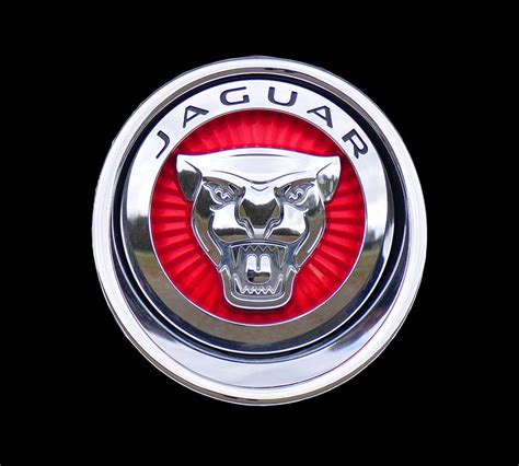 Jaguar Emblem Photograph by Ericamaxine Price - Pixels