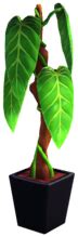 Philodendron in Black Pot - Dreamlight Valley Wiki