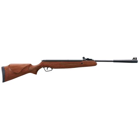 Stoeger Arms X20 .22 cal. Air Rifle with Hardwood Stock Refurbished - 633730, Air & BB Rifles at ...