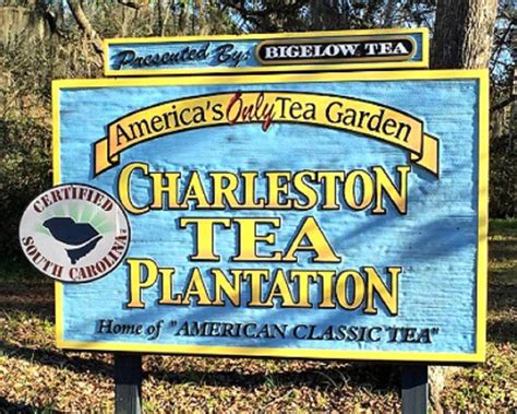 Visit the Charleston Tea Plantation | Pam Harrington Exclusives