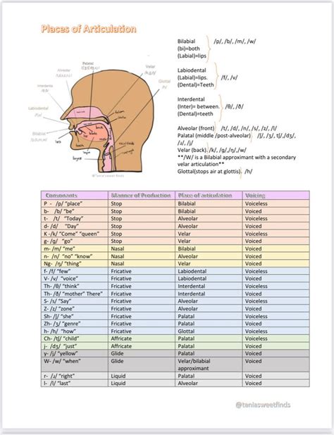 Place Of Articulation Chart