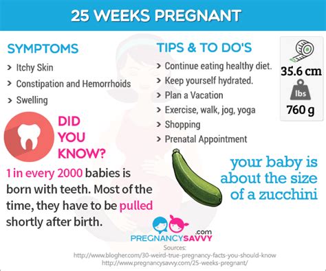 Pregnancysavvy.com | 20 weeks pregnant, 25 weeks pregnant, Pregnant