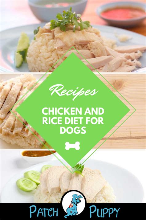 Chicken and Rice Diet for Dogs - PatchPuppy.com | Rice diet, Dog food ...