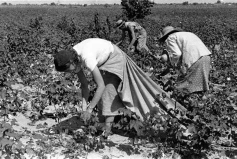 Women’s History Month: From Farmerettes to Soil Sisters | UC Food Observer