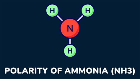 NH3 Polarity: How It Affects Its Solubility And Reactions - Gezro