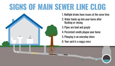 What To Do When You Have a Clogged Sewer Line - CME