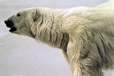 Robert Bateman - Paintings