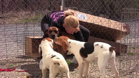 Free to Be Me - Puppy Mill Rescue Dogs Now Thriving! - YouTube