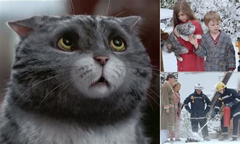 Presenting the new Sainsbury’s Christmas Advert. Mog sets off a chain of unfortunate events ...