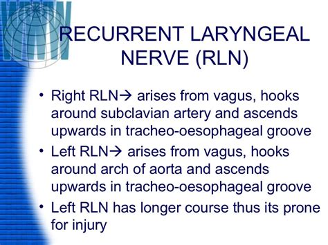 Laryngeal paralysis