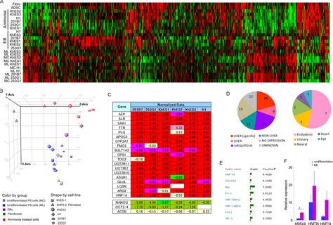 DNA microarray data reveals hepatocyte-like differentiation of ...