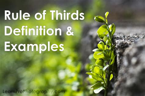 Rule of Thirds Definition & Examples | Learn Pro Photography