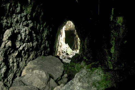 Rangitoto Island Track and Summit Walk | Freewalks.nz