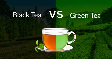 Green Tea vs Black Tea: the Health Benefits and Differences