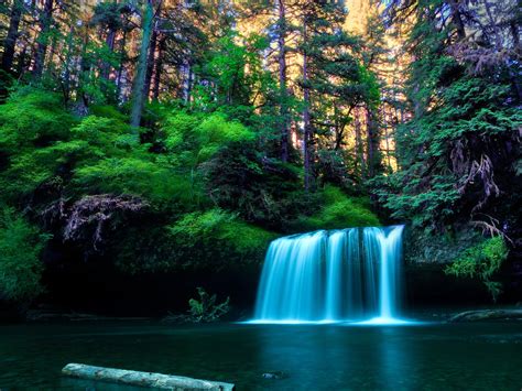 Serene Forest Waterfall HD Wallpaper