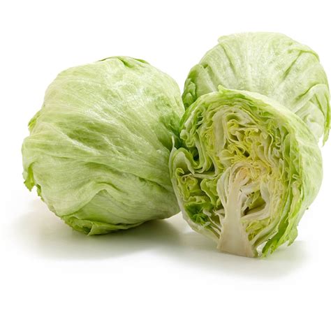 Iceberg Lettuce